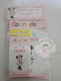 Kit Livro Colorir com giz de cera e lapela Personalizada